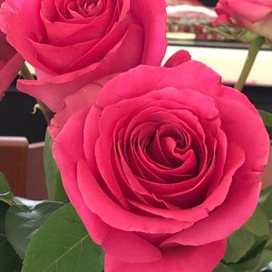 Meet your Posher, Janice